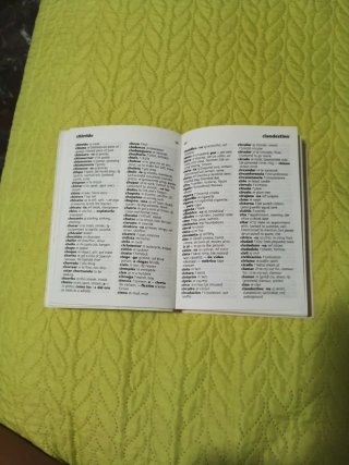 Diccionario Español-Inglés / Inglés-Español.