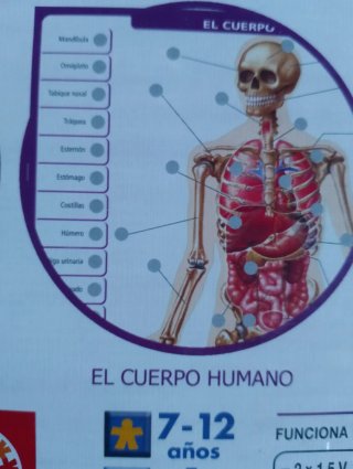 Juego educativo Conector ( 7-12 años )