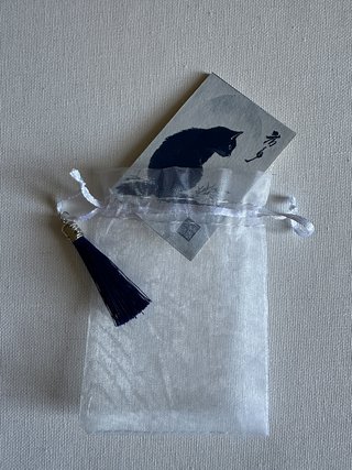 magnete, cianotipia, Gatto