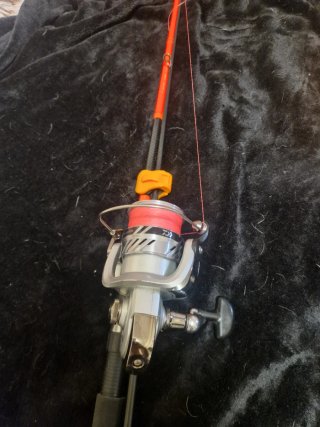 Caña y carrete de pesca spinning