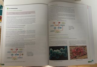 Biología, 2 bachillerato, Revuela Guía del prof...