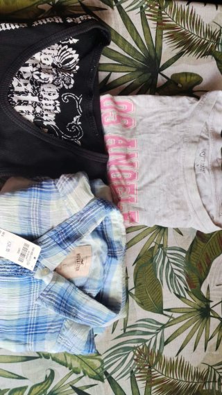 Lote Ropa Hombre Talla L Hollister