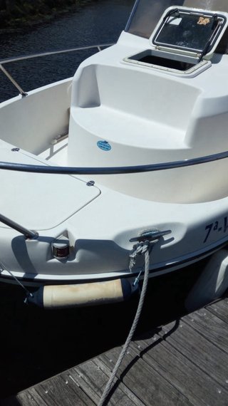Barco pesca paseo cabinado fueraborda apto tituln