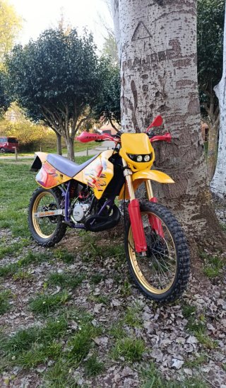 Rieju RR ITV 2028