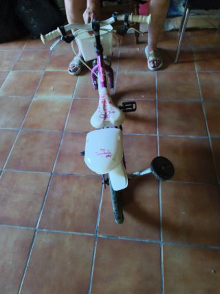 Bicicleta infantil morada con ruedines