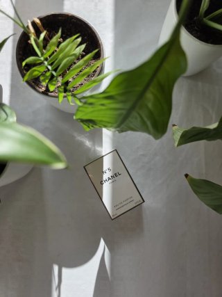 Chanel N°5 (Eau de Parfum) 100ml