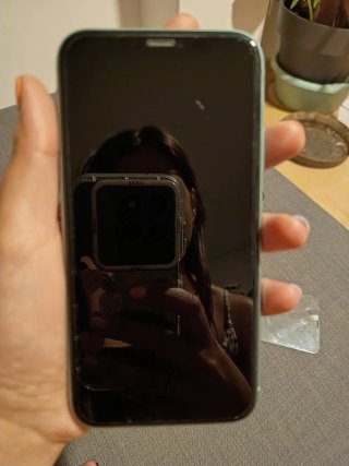 iPhone 11 Verde