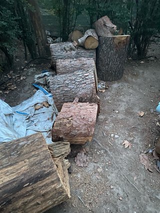 Leña para chimenea o barbacoa se regala