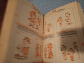 1000 chistes ilustrados