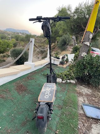 Patinete Eléctrico Fenix Dual