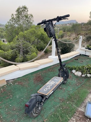 Patinete Eléctrico Fenix Dual
