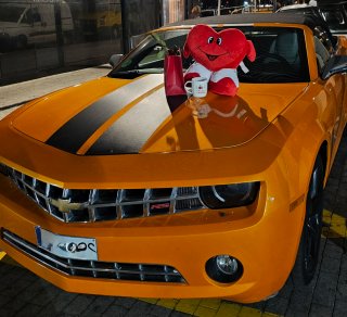 Chevrolet Camaro 2010