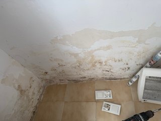 Servicios de pintura profesional