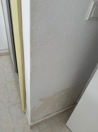 Servicios de pintura profesional