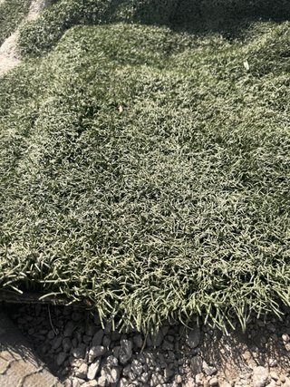 Césped artificial reciclado de campos de fútbol