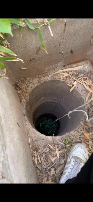 RESCATE DE GATITOS
