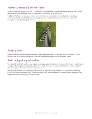 Set de Palos de Golf CALLAWAY ERC FUSION