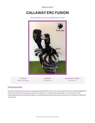 Set de Palos de Golf CALLAWAY ERC FUSION