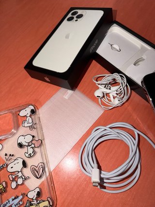 iPhone 13 Pro Max Argento + Accessori