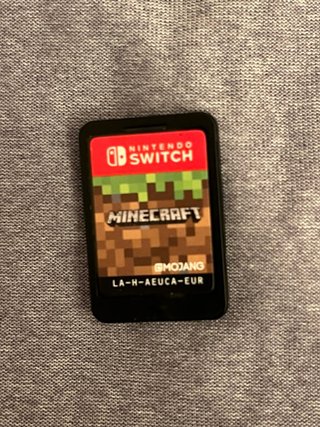 Minecraft Nintendo Switch