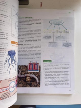 Biología, Geología y Ciencias Ambientales 1 Bac...