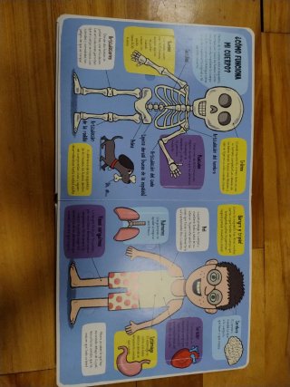 El cuerpo humano