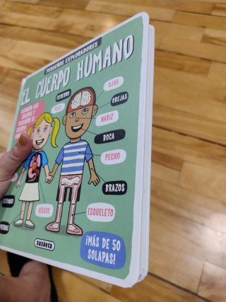 El cuerpo humano