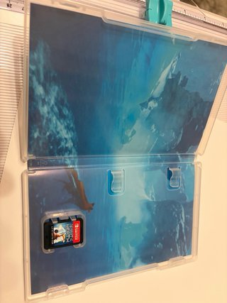 Spirit of the North Nintendo Switch