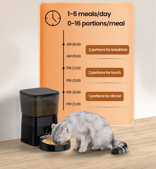 Mangiatoia automatica per animali domestici