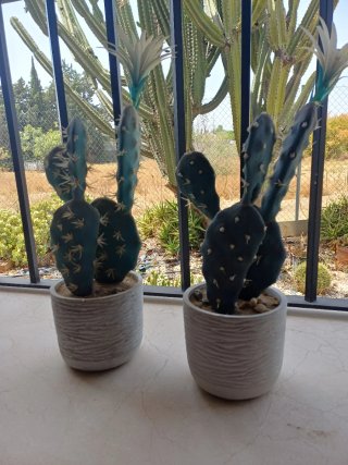 2 Cactus 47cm con maceta. Plantas artificiales.
