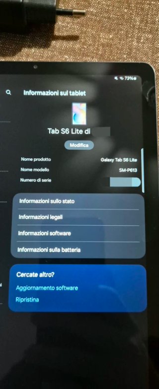 Samsung Tab S6 Lite 2022 SM-P613