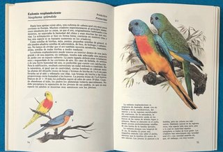 Aves de jaula