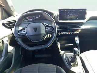 Peugeot 2008 PureTech 100 SANDS Active 75 kW (100 CV)