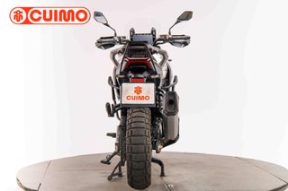 MORBIDELLI T1002 VX