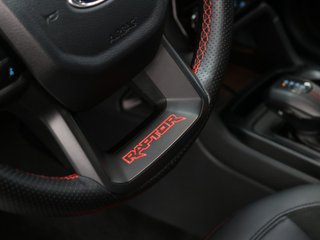 Ford Ranger Pickup 2.0 Ecoblue DC Raptor e-AWD AT 154 kW (210 CV)