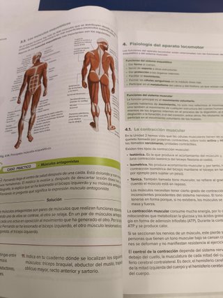 Anatomofisiología y Patologías Básicas - 9788448642549