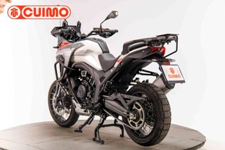 MORBIDELLI T1002 VX