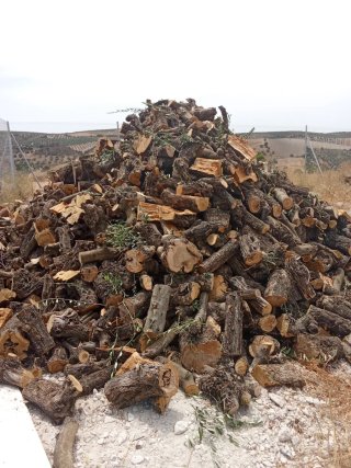 Leña de olivo para barbacoa y chimenea