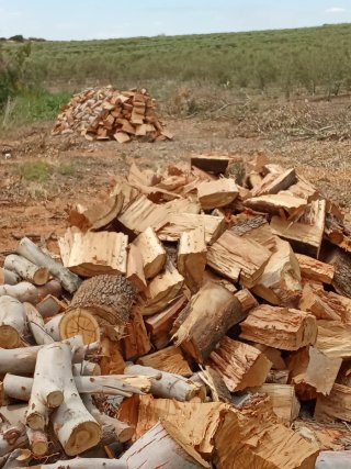 Leña de olivo para barbacoa y chimenea