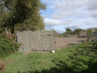 Terreno rústico en venta