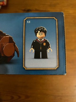 LEGO Harry Potter 76387 Hogwarts Fluffy Encounter