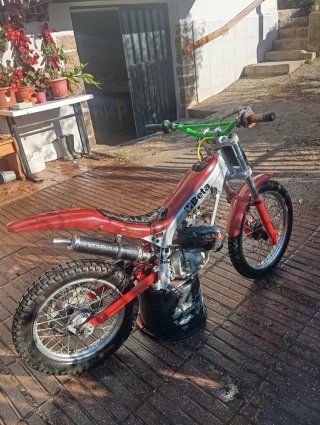 Beta Trial Niño