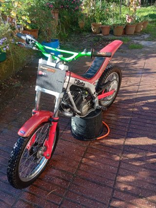 Beta Trial Niño