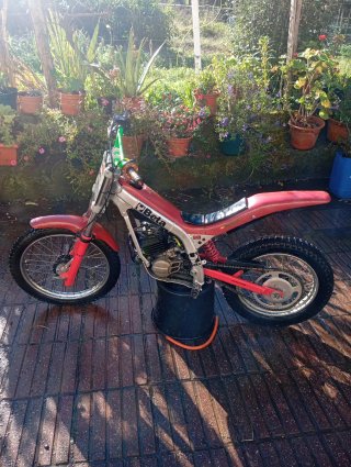 Beta Trial Niño