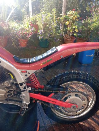 Beta Trial Niño