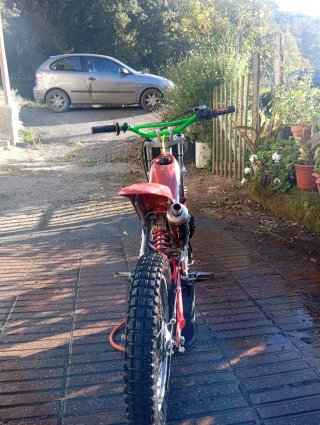 Beta Trial Niño
