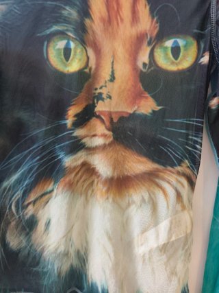 T-shirt manga comprida com paisagem