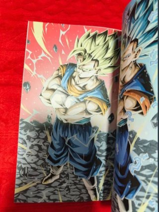 Dragon ball young jijii artbook envío gratis