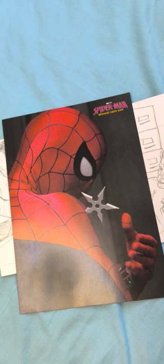 Póster Spiderman Brand New Day