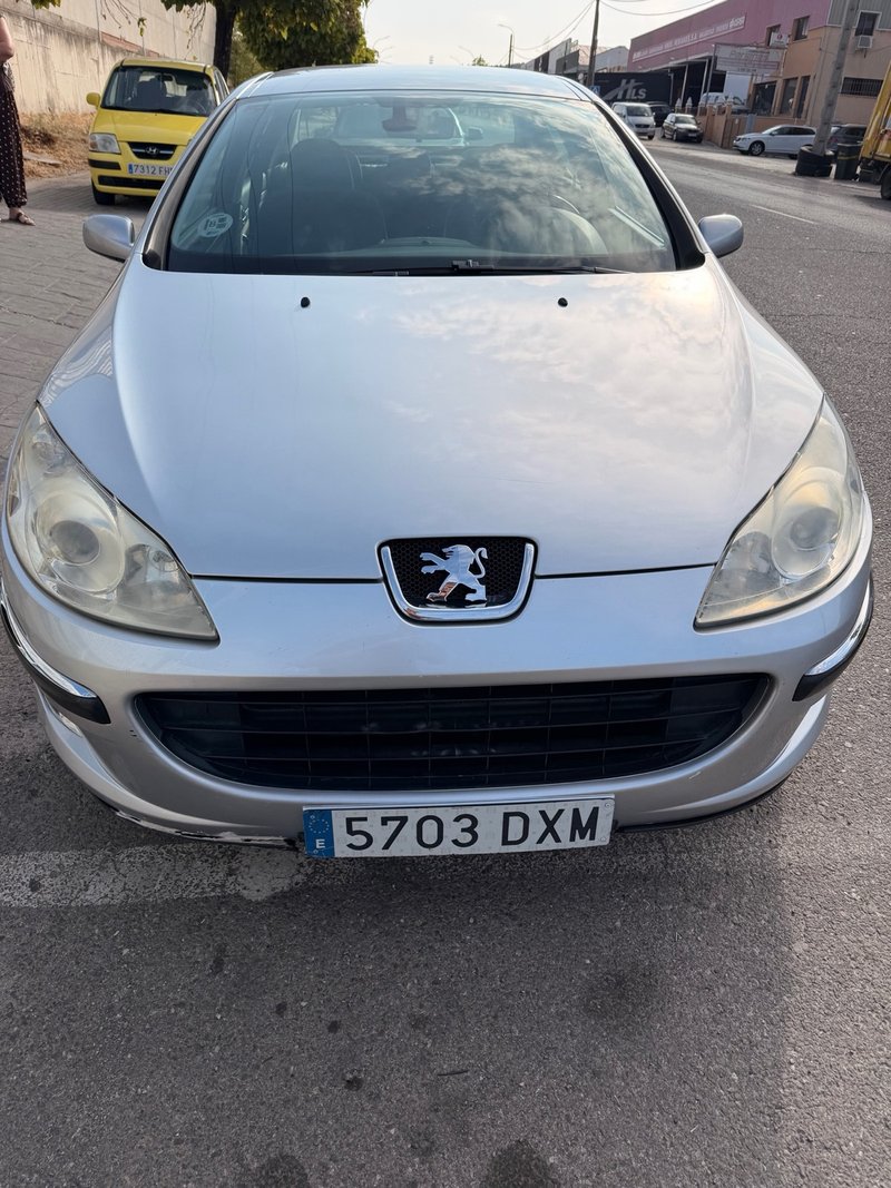Peugeot 407 2005 - foto 1